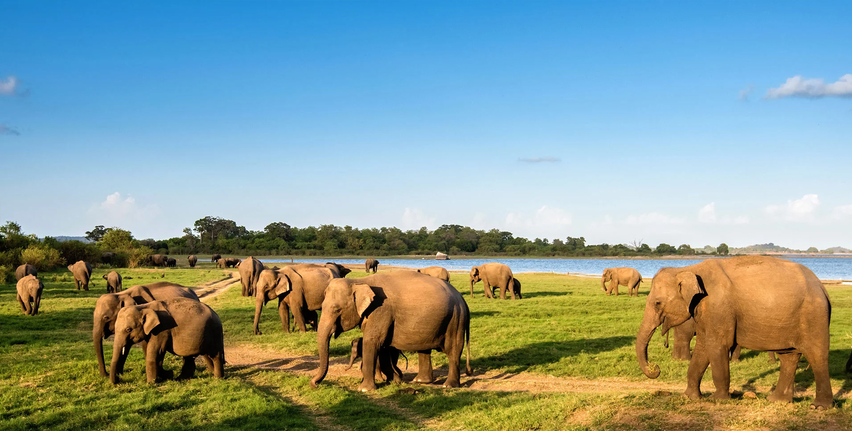 fiori tours Wild Life & Beach Tour 