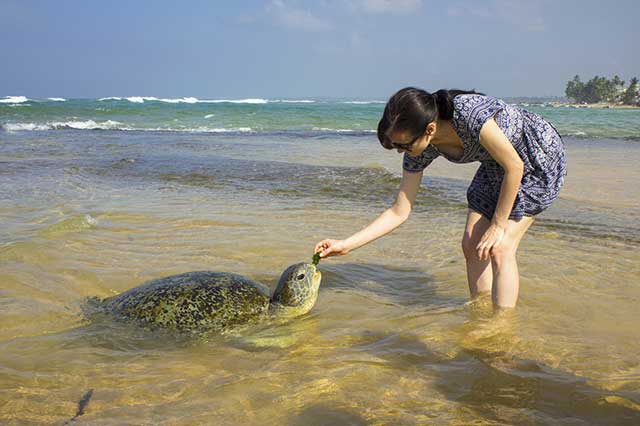 fiori tours Beach Tour